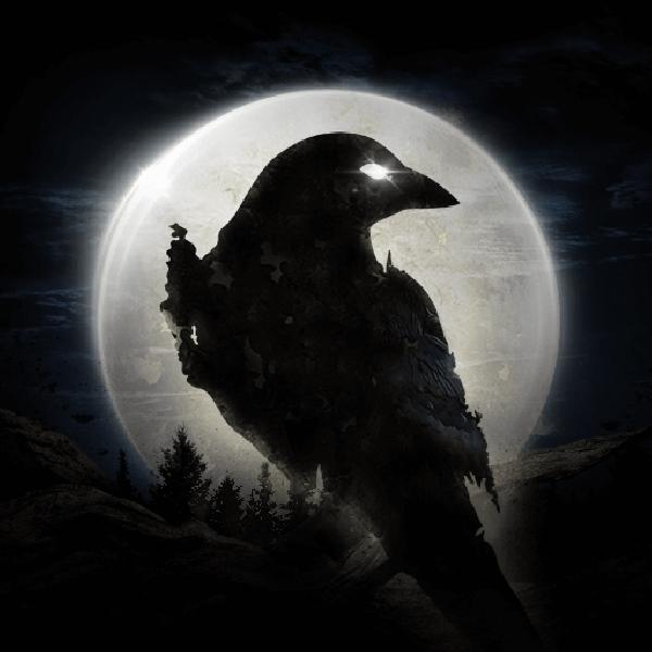 NIGHT CROWS Mod Apk