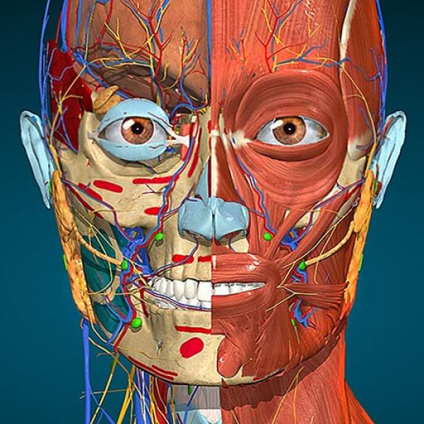 Anatomy Learning - 3D Anatomy v2.1.449 MOD APK (Full version Unlocked) Download