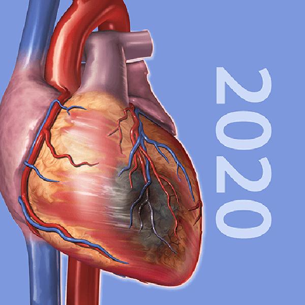 Physiology & Pathology v1.1.06 APK (PAID/Patched) Download