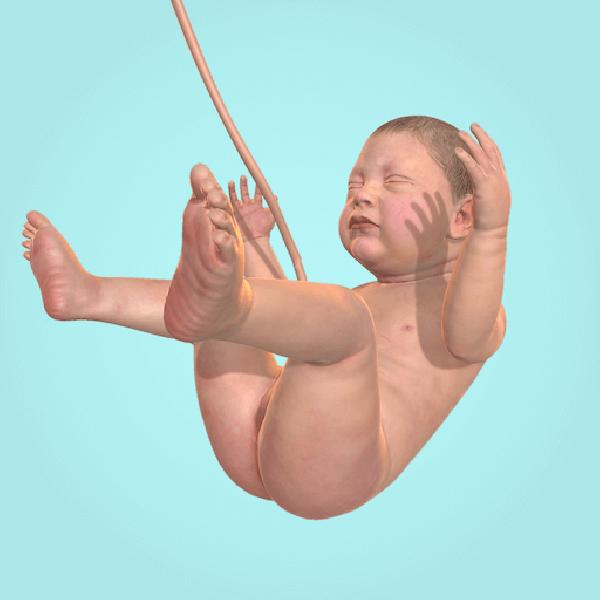 Idle 9 Months v1.37.4 MOD APK (Unlimited Cell, Nutrition) Download