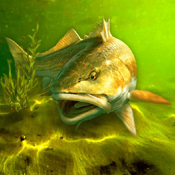 My Fishing World MOD APK v1.15.14 (Unlimited Golds, VIP Unlocked) Download