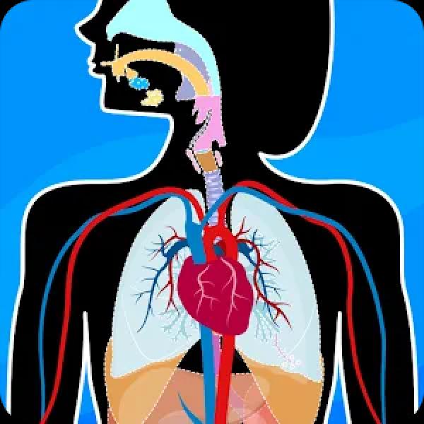Anatomix v2025.2.0 MOD APK (Premium Unlocked) Download
