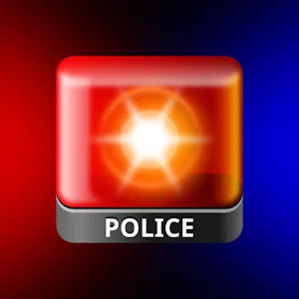 Police Lights Simulation v1.7.6 MOD APK (Ad-Free) Download